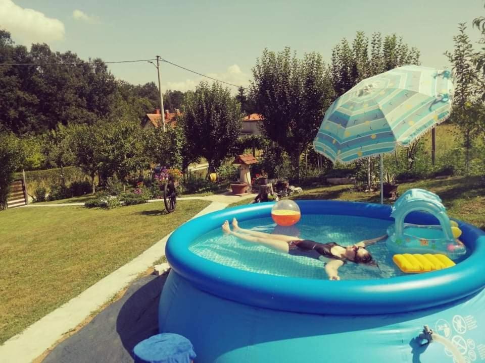"Porodica Markovic" Borsko Jezero Beljevina Экстерьер фото